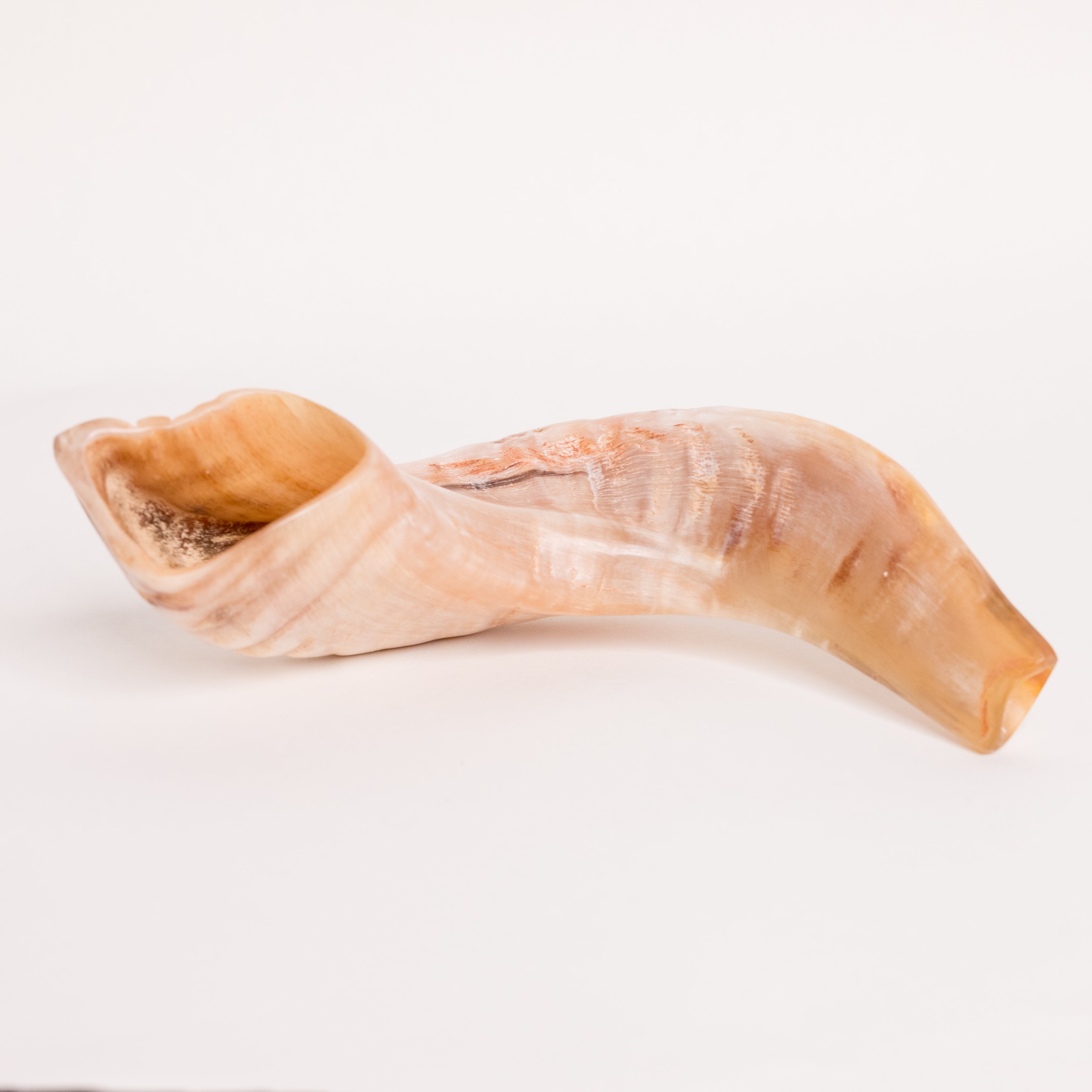 Shofar