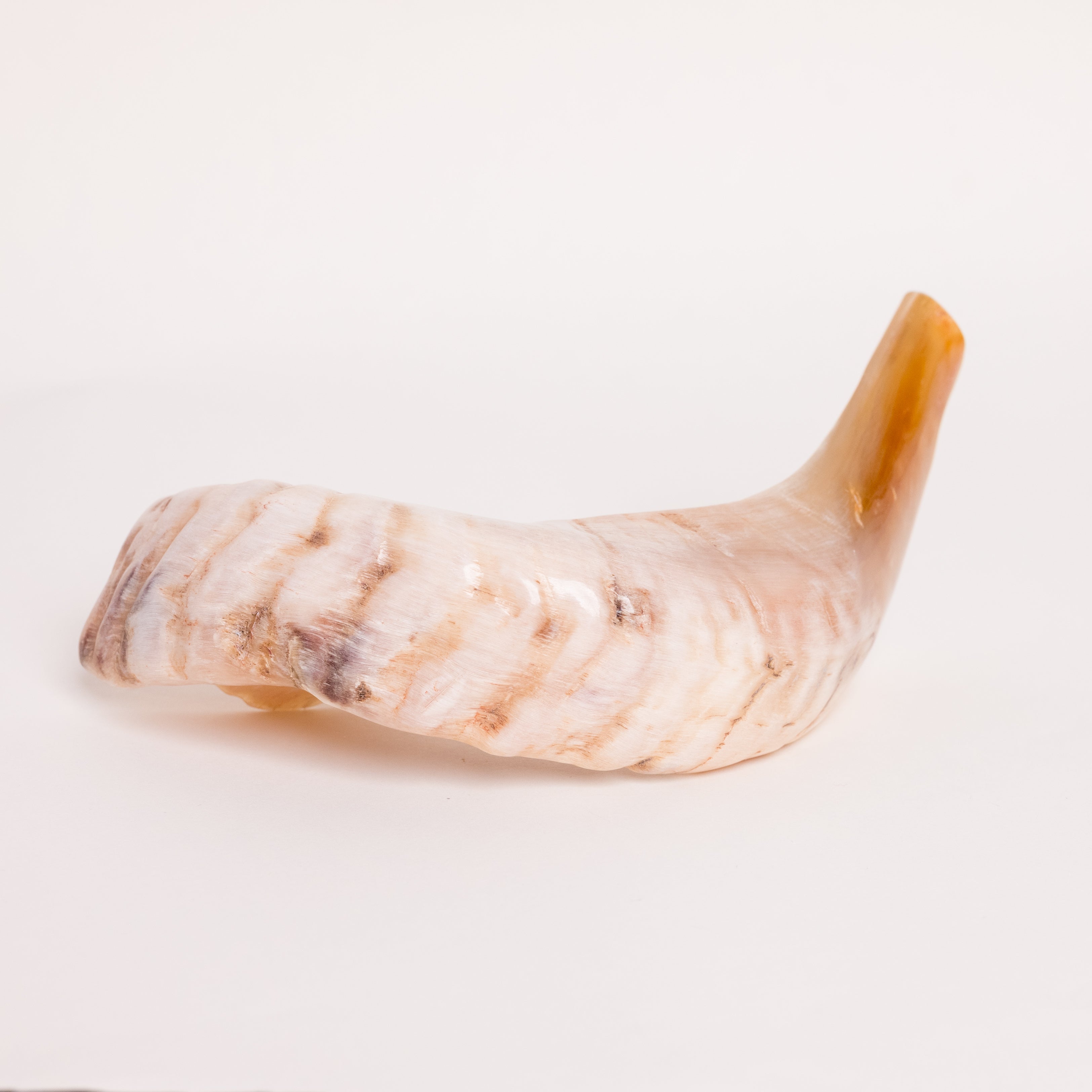 Shofar