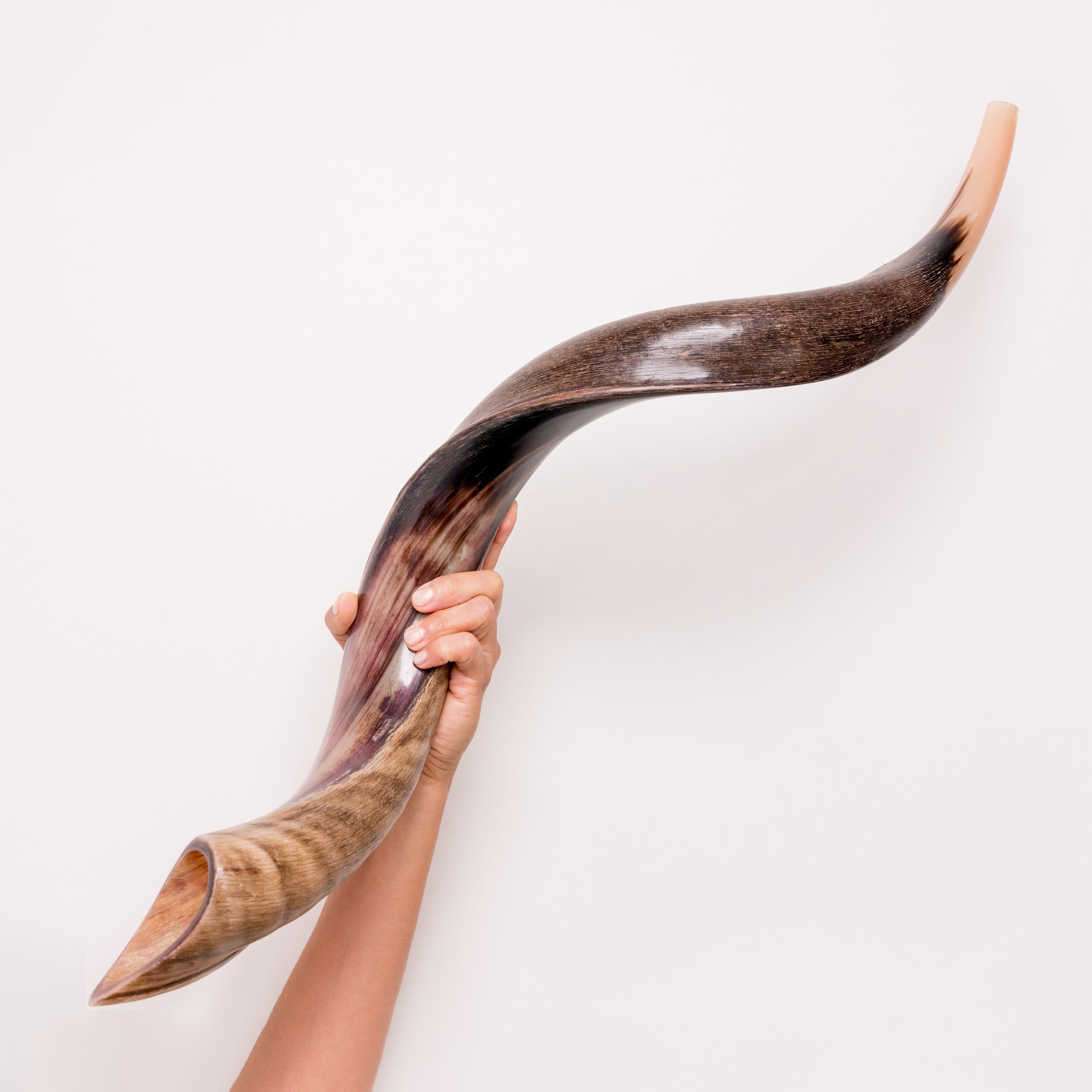 Shofar