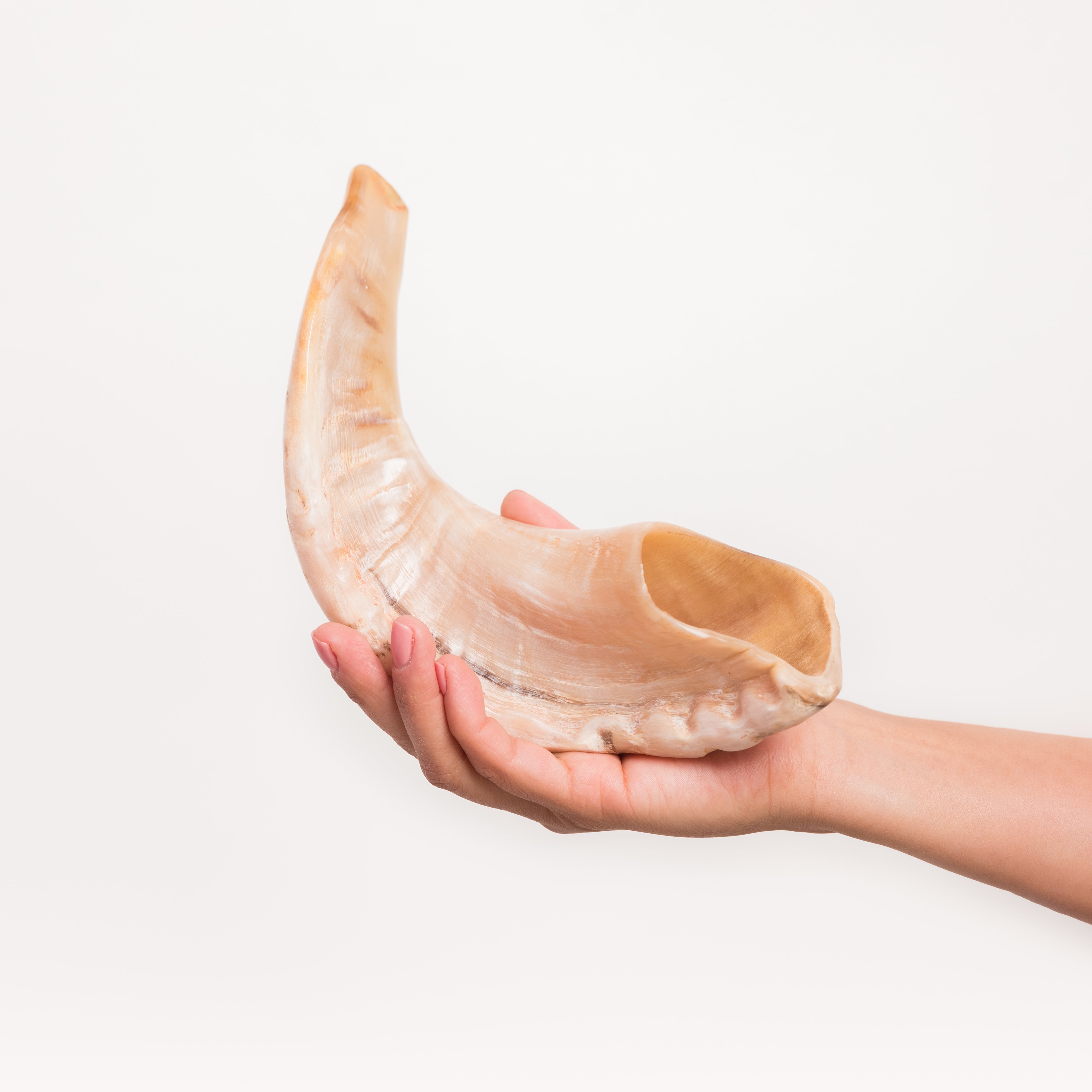 Shofar